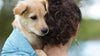 Pet K'tan Pet Carrier | PawQuamarine